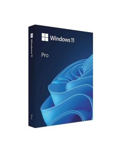 Microsoft Windows 11 Professional Single-User DVD License